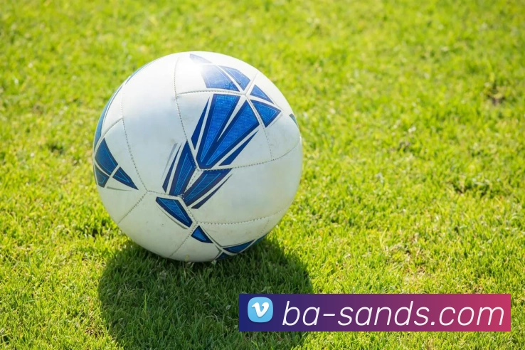 BETWAY必威官网APP 封面图